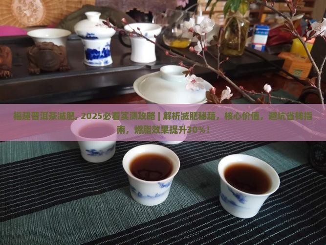 福建普洱茶减肥