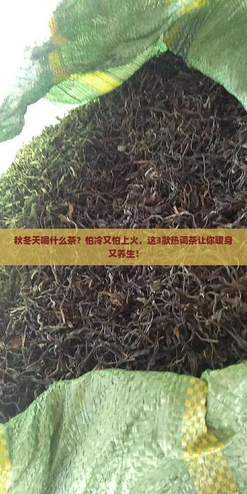 秋冬天喝什么茶