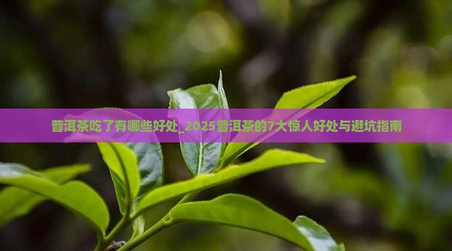 普洱茶吃了有哪些好处 普洱茶吃了有哪些好处