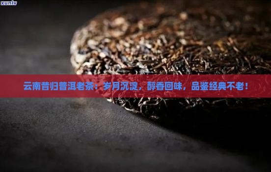 云南昔归普洱老茶