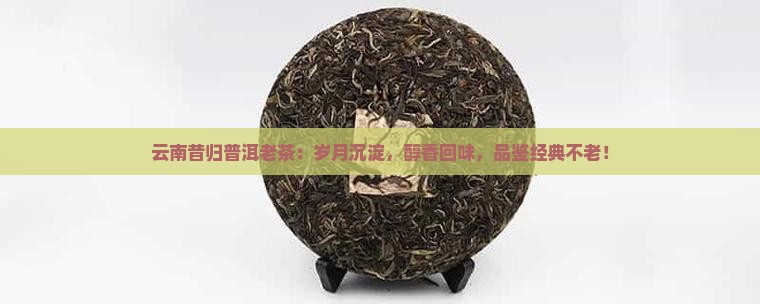 云南昔归普洱老茶