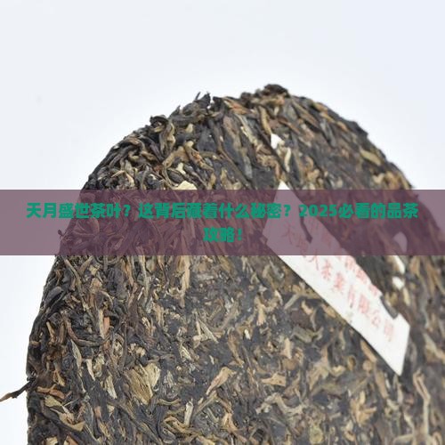 天月盛世茶叶官网