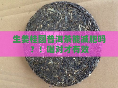 生姜桂圆普洱茶能减肥吗