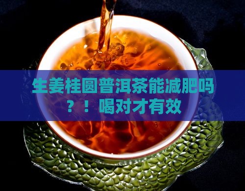 生姜桂圆普洱茶能减肥吗
