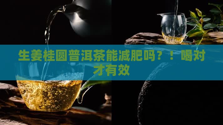 生姜桂圆普洱茶能减肥吗