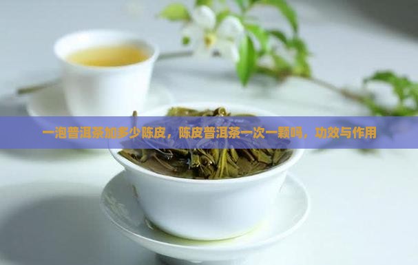 一泡普洱茶加多少陈皮