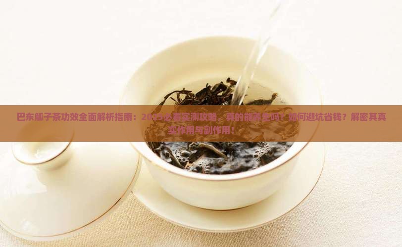 巴东觚子茶有什么功效