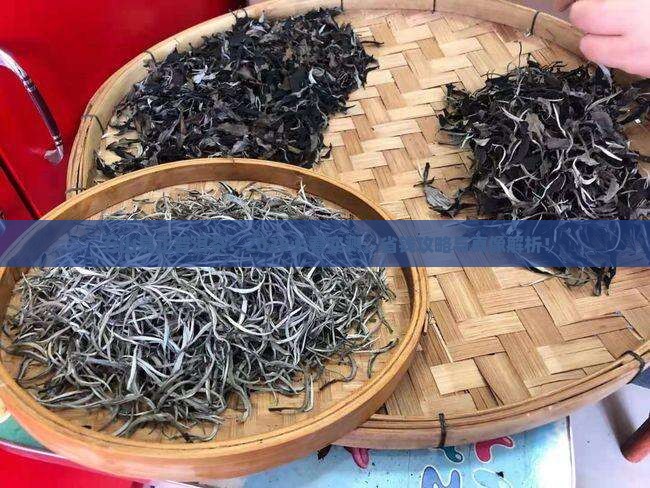 五山易正普洱茶