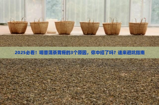 喝普洱茶为什么会感觉胃疼