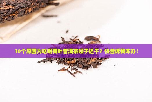 喝荷叶普洱茶嗓子干为什么