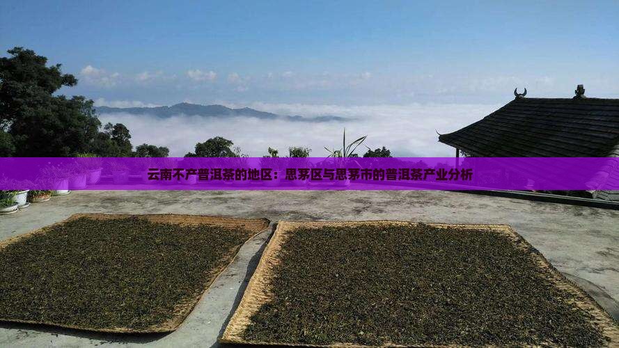 云南不产普洱茶的地区
