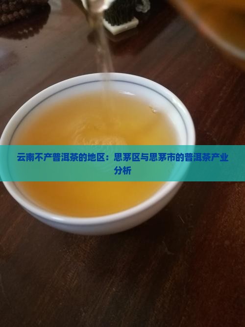 云南不产普洱茶的地区