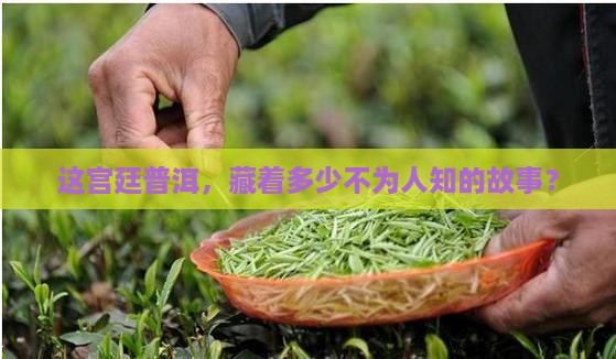 宫廷特级普洱茶