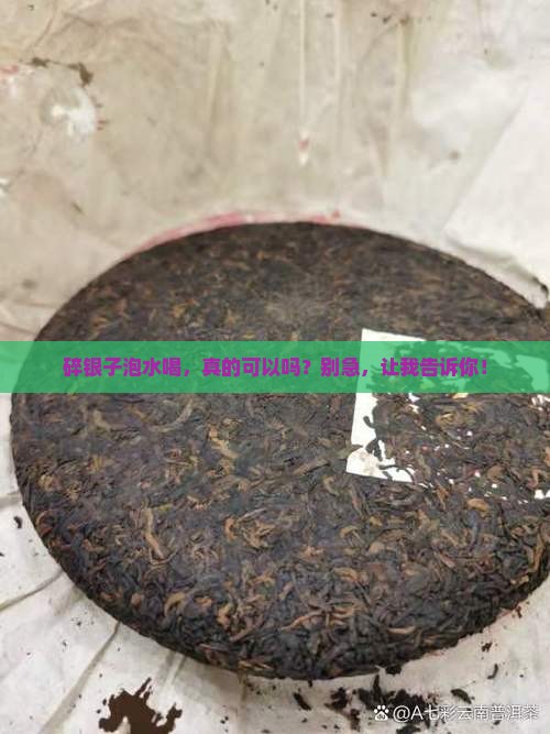 碎银子可以泡着喝吗