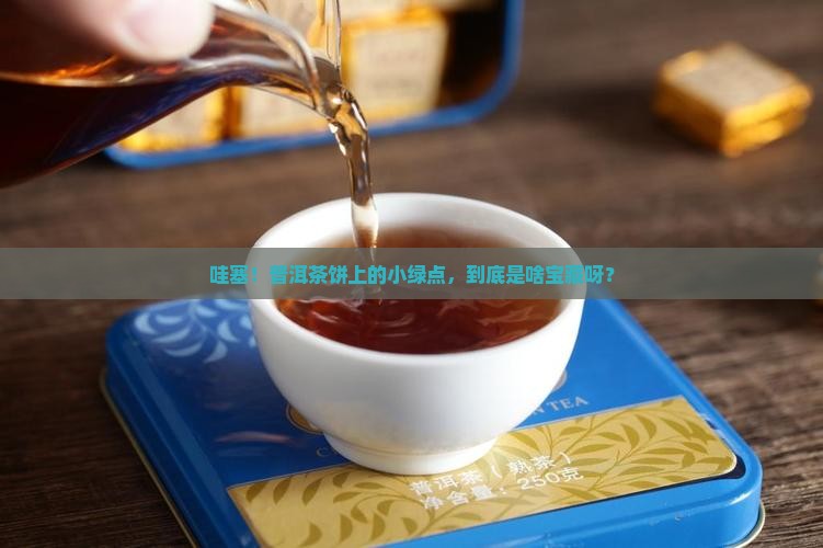 普洱茶饼上的小绿点是什么