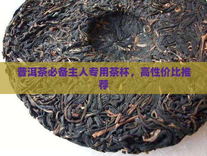 普洱茶必备主人杯