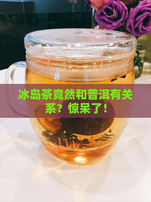 冰岛属于普洱茶吗