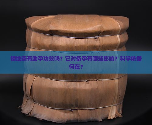 矮地茶有助孕功效吗