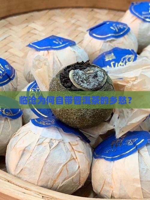 为什么临沧会叫普洱茶乡