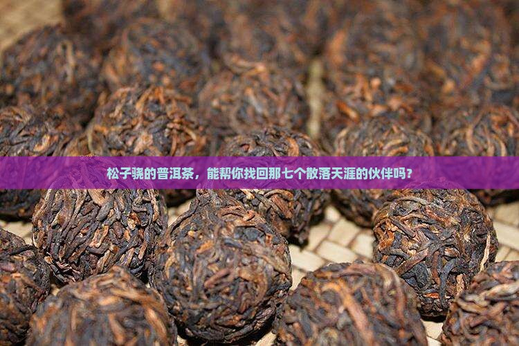 松子骁团圆七子普洱茶
