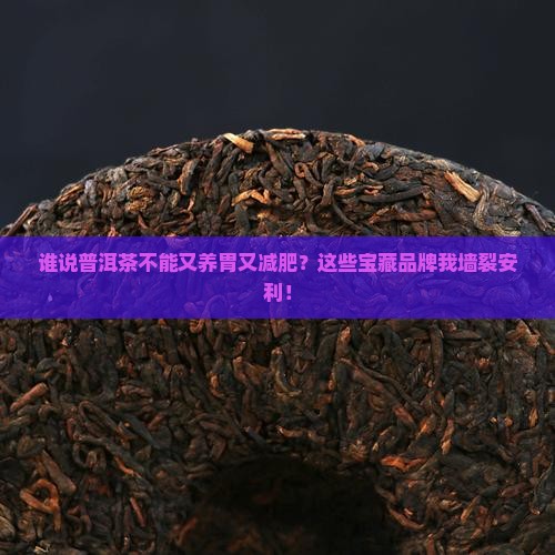 普洱茶养胃减肥推荐品牌