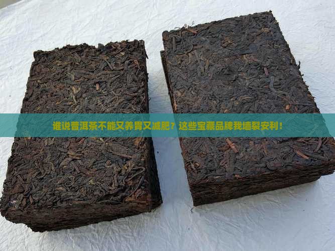 普洱茶养胃减肥推荐品牌