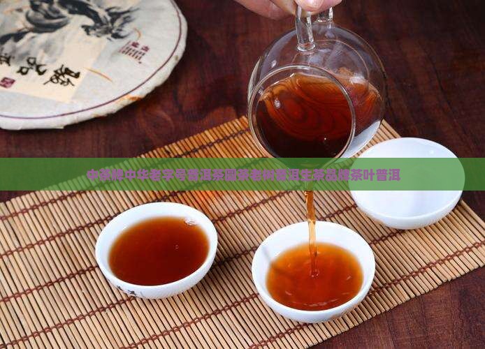 中茶牌老树圆茶普洱茶
