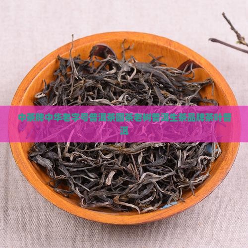 中茶牌老树圆茶普洱茶