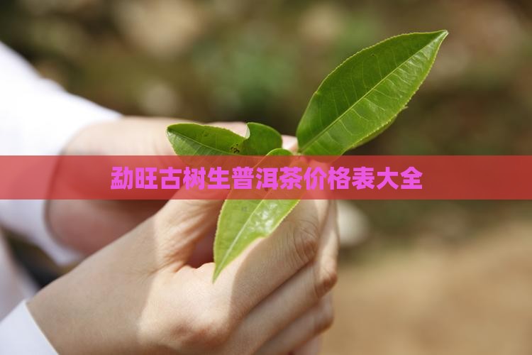 勐旺古树生普洱茶价格表