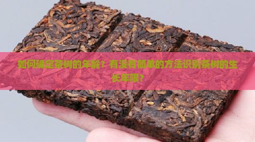 怎么定茶树的年龄
