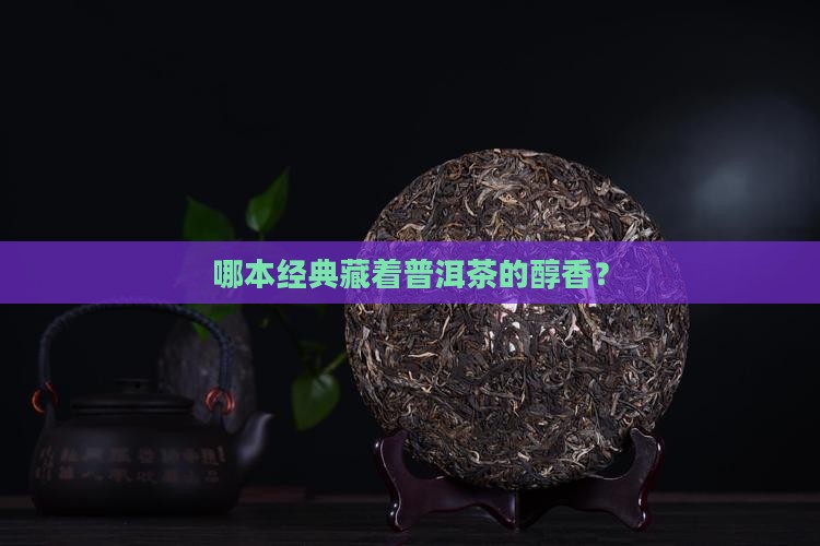 哪一本名著有普洱茶的