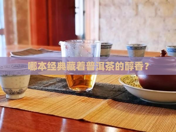哪一本名著有普洱茶的