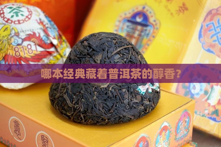 哪一本名著有普洱茶的