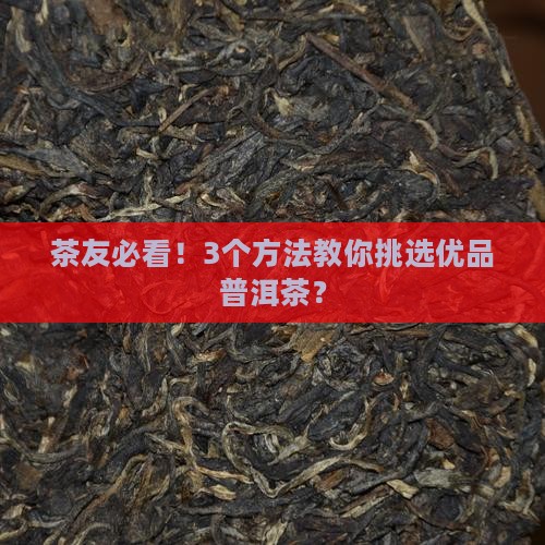 优品普洱茶有哪些