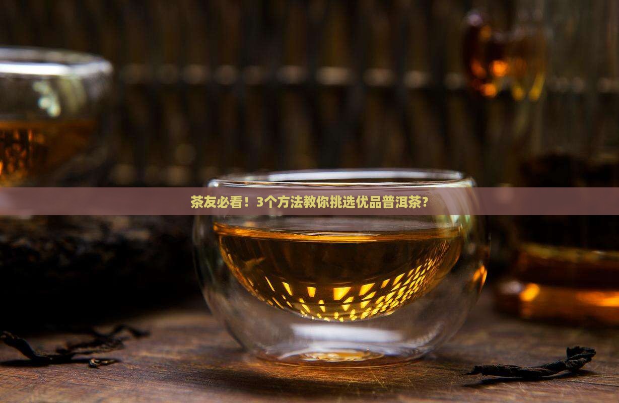 优品普洱茶有哪些