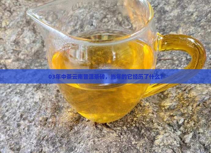 03年中茶云南普洱茶砖