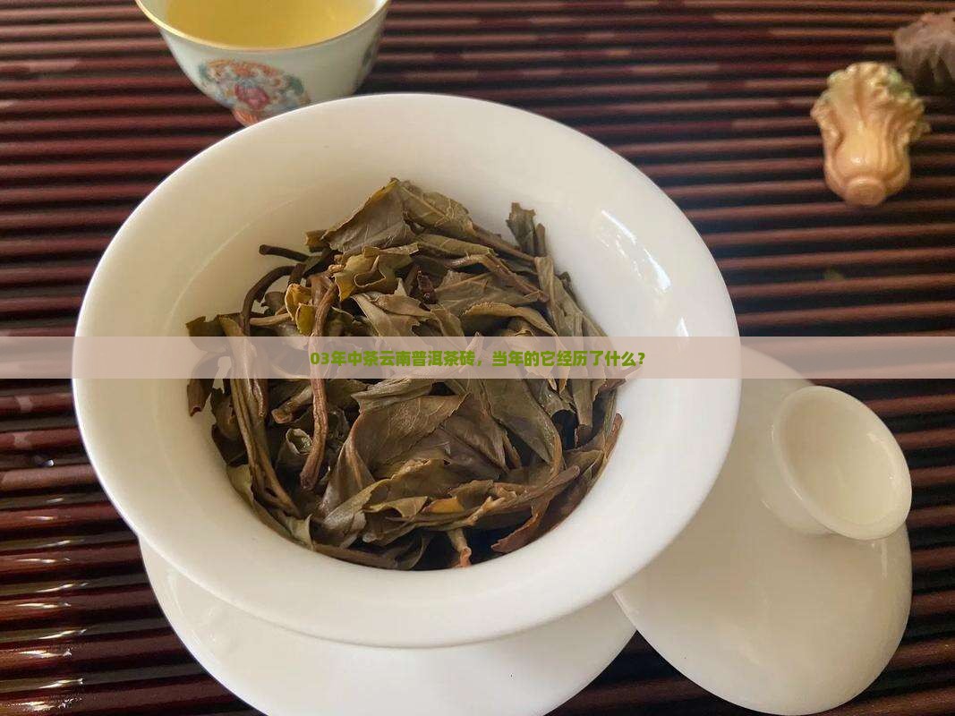 03年中茶云南普洱茶砖