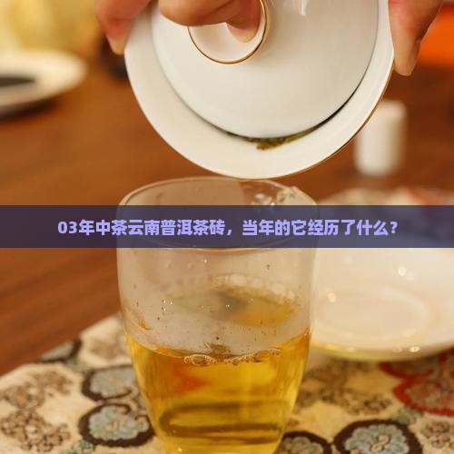 03年中茶云南普洱茶砖