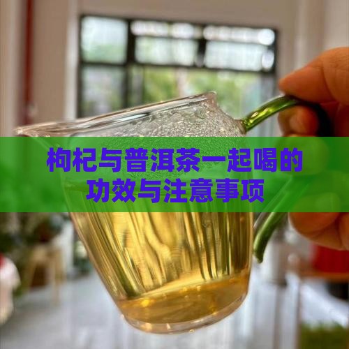 枸杞与普洱茶一起喝