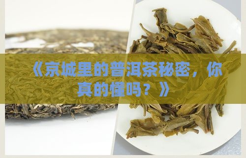 北京普洱茶知识