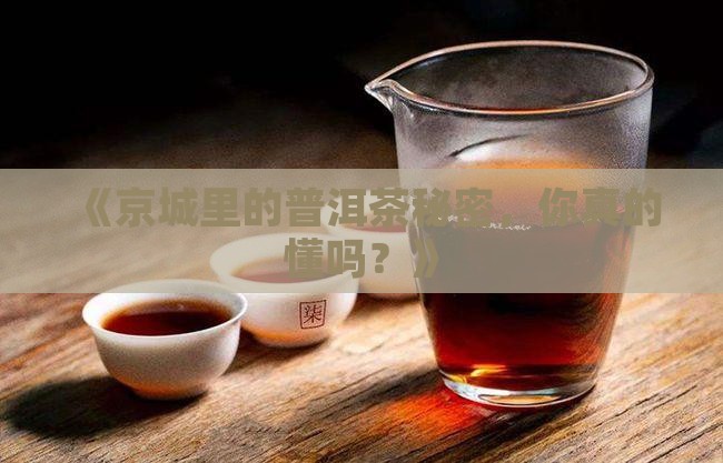 北京普洱茶知识
