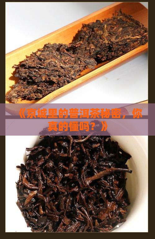 北京普洱茶知识