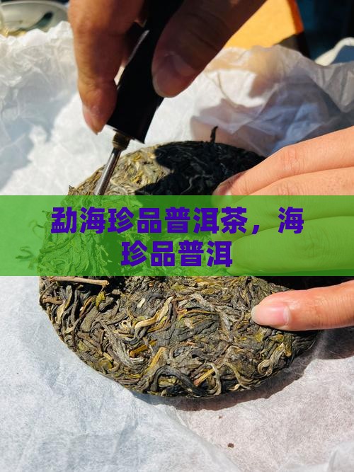 勐海珍品普洱茶