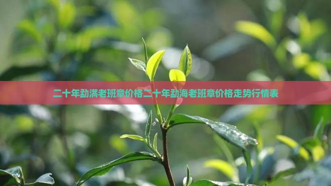二十年勐满老班章价格