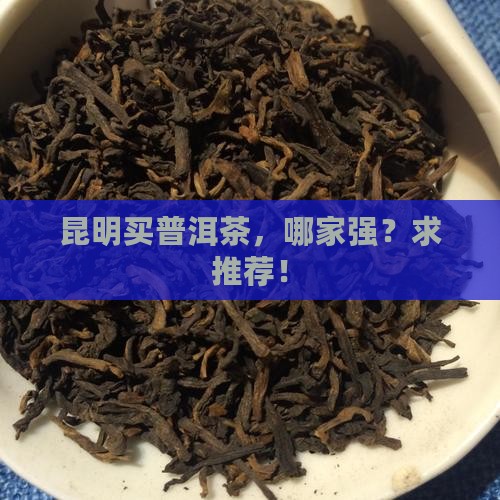 昆明普洱茶去哪买好
