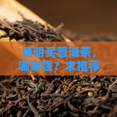 昆明普洱茶去哪买好