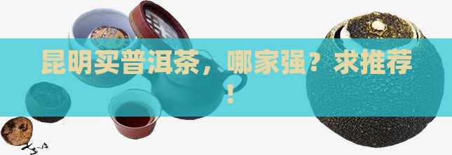 昆明普洱茶去哪买好