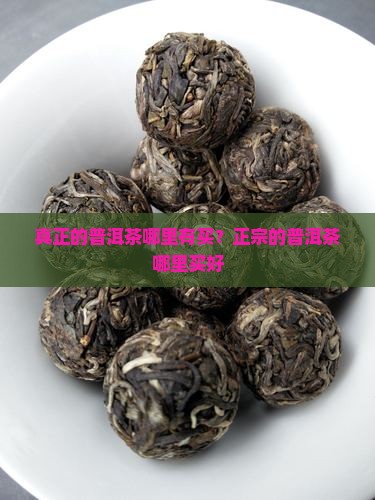 真正的普洱茶哪里有买