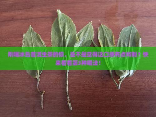 冰岛普洱生茶什么口感
