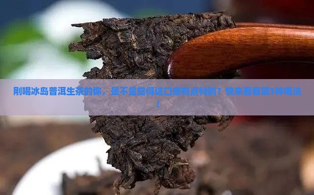 冰岛普洱生茶什么口感
